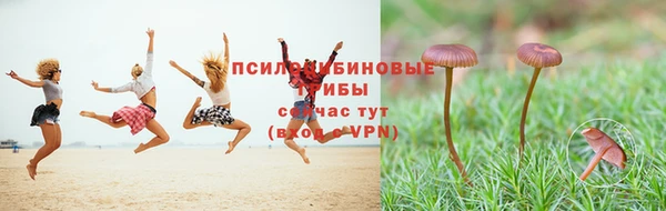 кокаин колумбия Алексин